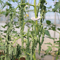 085004_20180613142256_03.JPG