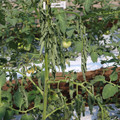 085004_20180613142328_01.JPG