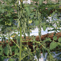 085004_20180613142328_05.JPG
