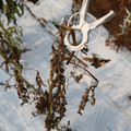 085004_20180719084314_02.JPG