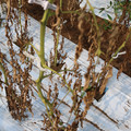 085004_20180719084343_04.JPG