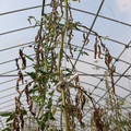 085004_20180719084431_01.JPG