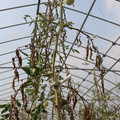085004_20180719084431_03.JPG