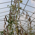 085004_20180719084431_04.JPG