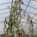 085004_20180719084431_05.JPG