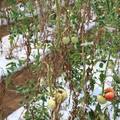 085004_20180719084508_01.JPG