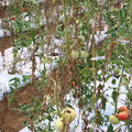 085004_20180719084508_04.JPG