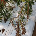 085004_20180719084538_02.JPG