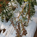 085004_20180719084539_01.JPG