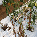 085004_20180719084541_01.JPG