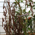 085004_20180719084558_01.JPG