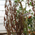 085004_20180719084558_04.JPG