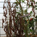 085004_20180719084558_05.JPG