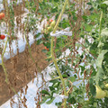 085004_20180719084620_02.JPG