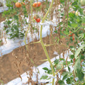 085004_20180719084623_02.JPG