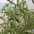 085004_20180719084716_01.JPG