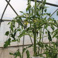 085004_20180719084721_01.JPG
