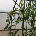 085004_20180719084722_02.JPG