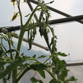 085004_20180719084738_01.JPG
