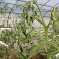085004_20180719084849_05.JPG