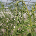 085004_20180719084851_01.JPG
