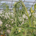 085004_20180719084851_04.JPG