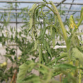 085004_20180719084852_01.JPG
