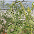 085004_20180719084852_03.JPG