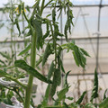 085004_20180719084906_02.JPG