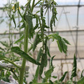 085004_20180719084906_03.JPG
