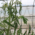 085004_20180719084907_05.JPG