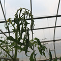 085004_20180719084910_05.JPG