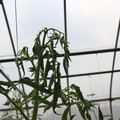 085004_20180719084911_01.JPG