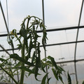 085004_20180719084911_02.JPG