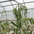 085004_20180719084918_01.JPG