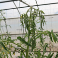 085004_20180719084918_03.JPG