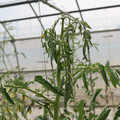 085004_20180719084918_04.JPG