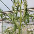 085004_20180719084942_02.JPG
