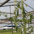 085004_20180719084945_01.JPG