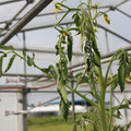 085004_20180719084946_01.JPG