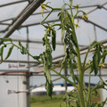 085004_20180719084946_03.JPG