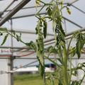 085004_20180719084946_05.JPG