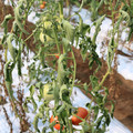 085004_20180719085050_04.JPG