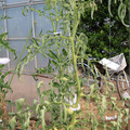085004_20180719085100_02.JPG