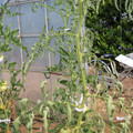 085004_20180719085101_05.JPG