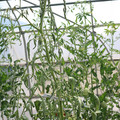 085004_20180719085145_02.JPG