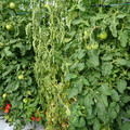 521001_20180611161351_02.JPG