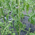529902_20161013143706_01.JPG