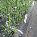 529902_20161013143730_01.JPG