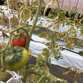 439905_20180205105126_06.JPG